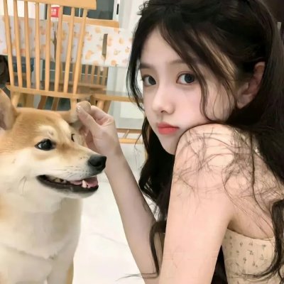 烽火雁翎